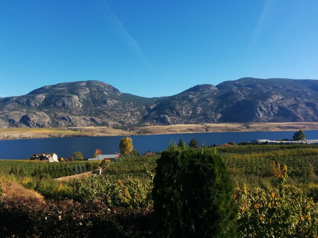 Ciliegia Villa Osoyoos Camera foto